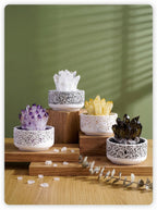 Zenflowing Crystal Cluster Potted Plant - Natural Amethyst Citrine Desk Decor & Aromatherapy Stone